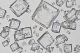 Salt Under a Microscope: What Salt Crystals Really Look Like