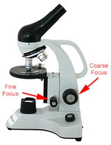 Functions of Fine and Coarse Adjustment Knobs in Microscopes Functions of Fine and Coarse Adjustment Knobs in Microscopes