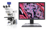 Microscope Ergonomic Work Station Microscope Ergonomic Work Station