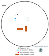 How Changing Magnification Affects Field of View How Changing Magnification Affects Field of View