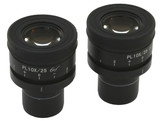 How to Adjust Focusing Microscope Eyepieces How to Adjust Focusing Microscope Eyepieces