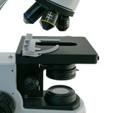 10 Types of Light Microscopes and How to Use Them