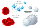 Hematology Explained Hematology Explained