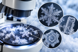 What Does Snow Look Like Under a Microscope?