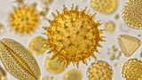 Pollen Under a Microscope: What Does It Look Like?