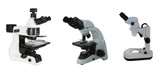 Types of Microscopes Types of Microscopes