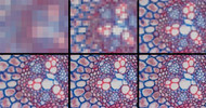 How to Optimize Microscope Camera Exposure, Gain, and Gamma for Scientific Imaging