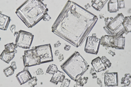 Salt Under a Microscope: What Salt Crystals Really Look Like