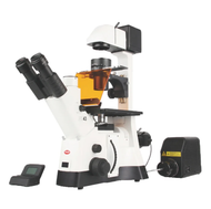Clinical Microscope Buying Guide: How to Choose the Right Microscope for Your Medical Lab