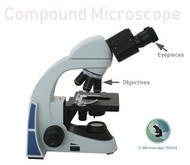 What is a Compound Microscope? What is a Compound Microscope?