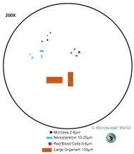 How Changing Magnification Affects Field of View How Changing Magnification Affects Field of View
