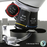 What Microscope Magnification Should I Start With? What Microscope Magnification Should I Start With?