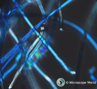 Fiber Analysis under the Microscope Fiber Analysis under the Microscope