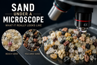 Sand Under a Microscope: What It Really Looks Like