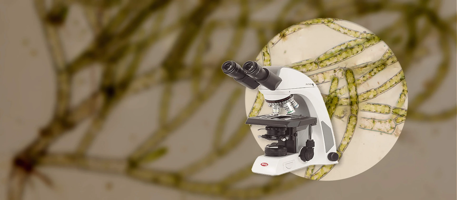 Microscopes for Sale, Parts & Accessories | Microscope World
