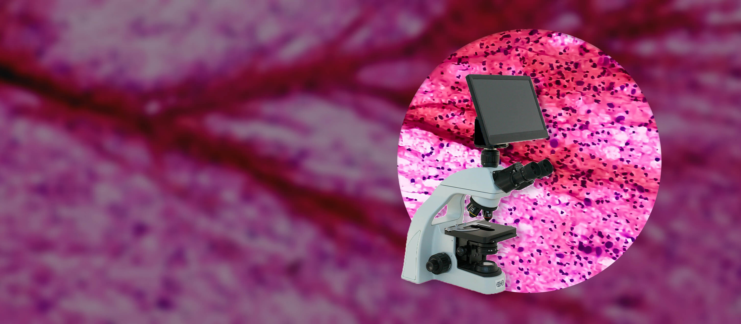 Microscopes for Sale, Parts & Accessories | Microscope World