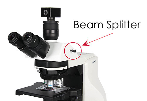 Microscope Beam Splitter - Microscope World