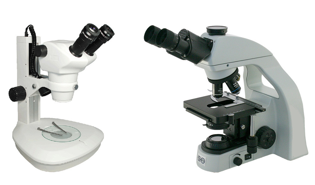 Difference Between Compound & Dissecting Microscopes - Microscope World