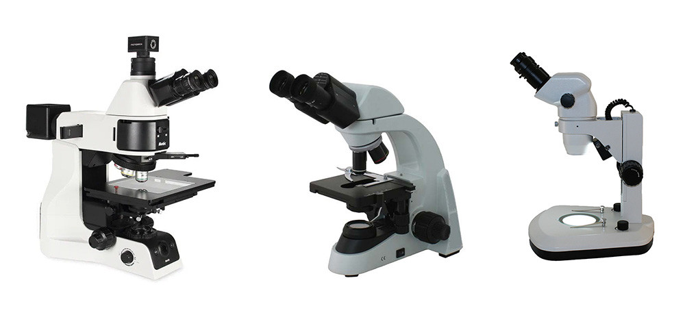 Types of Microscopes - Microscope World