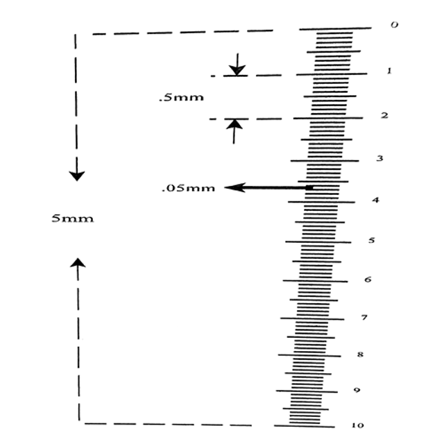 Reticle Ruler Vertical 5mm 100 Divisions