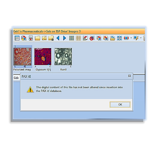 PAX-It Extended Security Module