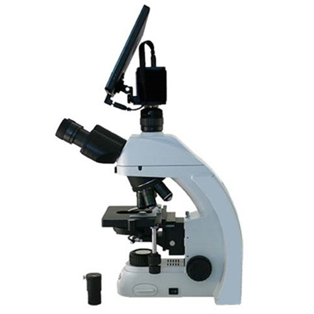 Wastewater Treatment Full Phase HD Microscope Wastewater Treatment Full Phase HD Microscope