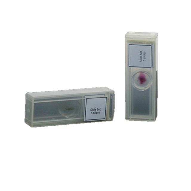 Microscope Slide Kit: Insects Microscope Slide Kit: Insects