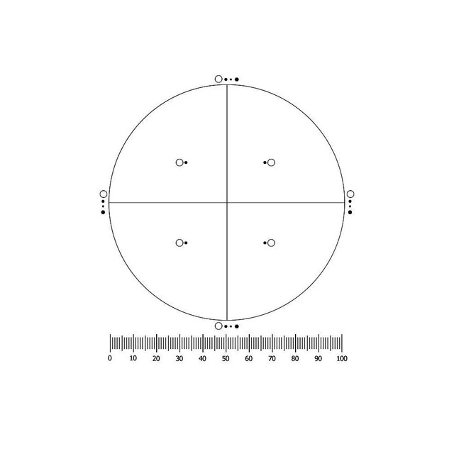 IMA/USP Counting Reticle