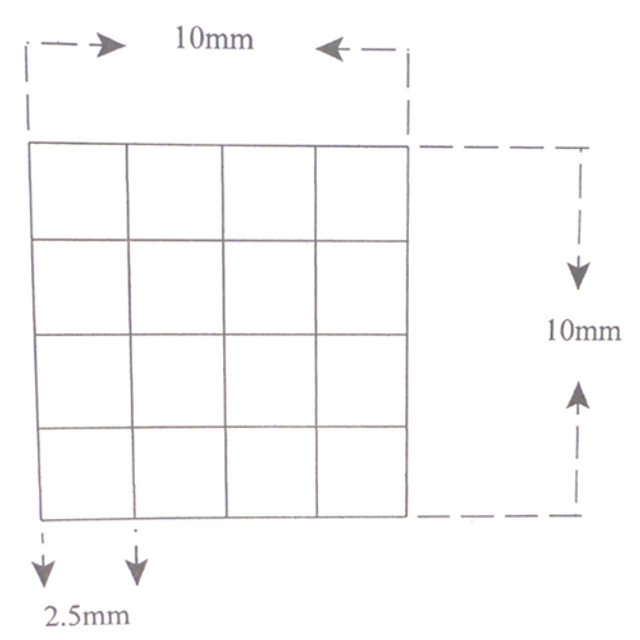 Reticle Grid 2.5mm Squares Reticle Grid 2.5mm Squares