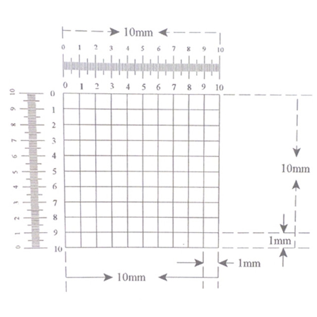 Reticle Grid 1mm Squares 100 Total with 2 Scales Reticle Grid 1mm Squares 100 Total with 2 Scales