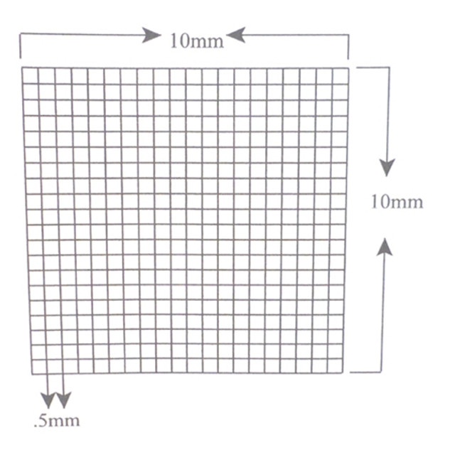 Reticle Grid 0.5mm Squares 400 Total Reticle Grid 0.5mm Squares 400 Total