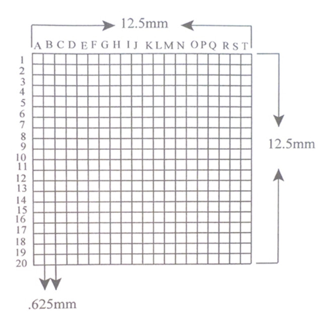 Reticle Grid 0.625mm Squares 400 Total Labeled Reticle Grid 0.625mm Squares 400 Total Labeled