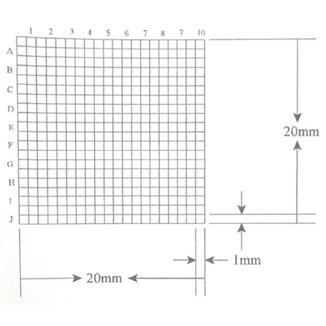Reticle Grid 1mm Squares 400 Total Labeled Reticle Grid 1mm Squares 400 Total Labeled