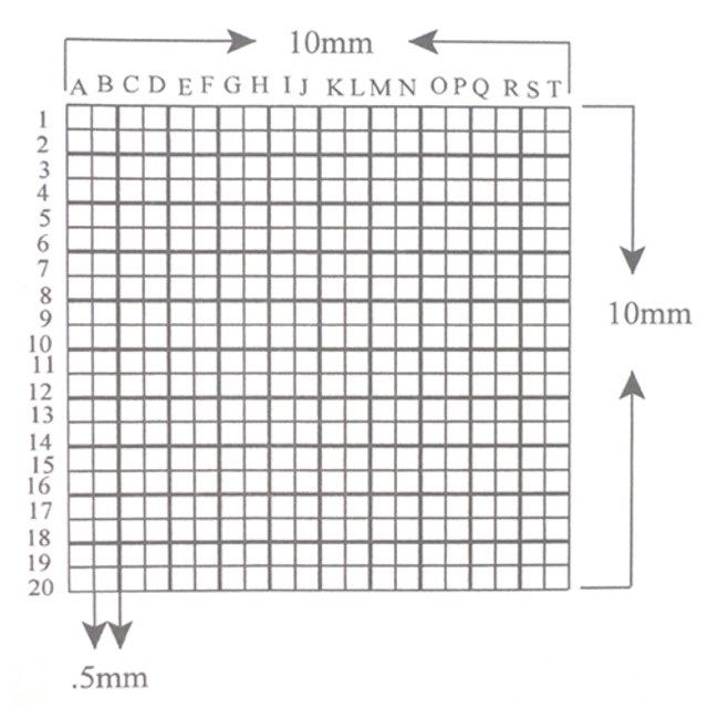 Reticle Grid 0.5mm Squares 400 Total Labeled Accented Lines Reticle Grid 0.5mm Squares 400 Total Labeled Accented Lines
