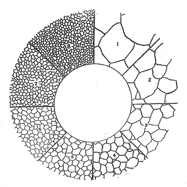 Reticle Austenite Grain Counting Reticle Austenite Grain Counting