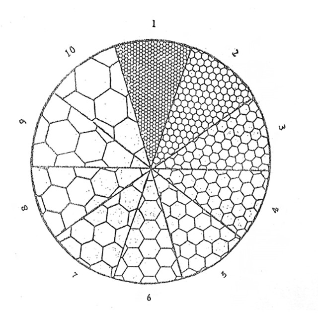 Reticle Carbide Grain Counting