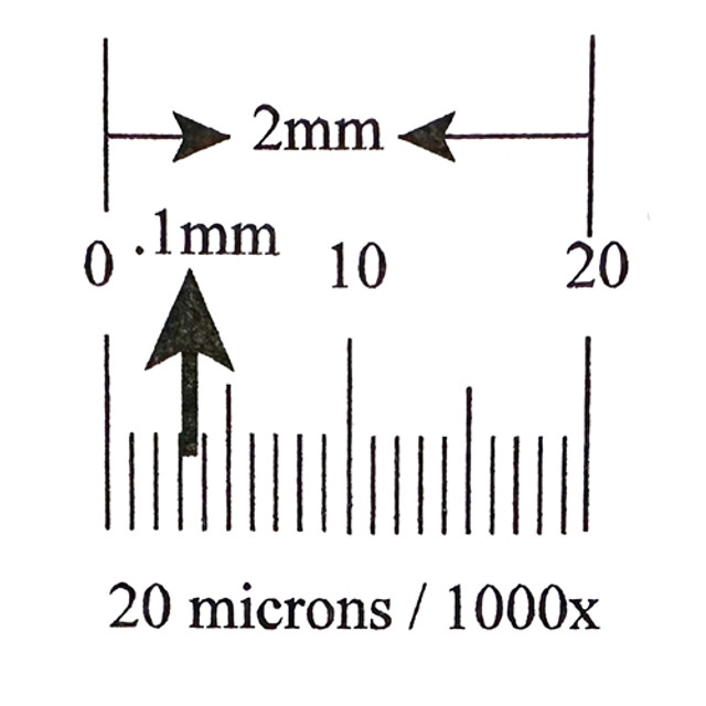 Reticle Ruler 2mm 20 Divisions