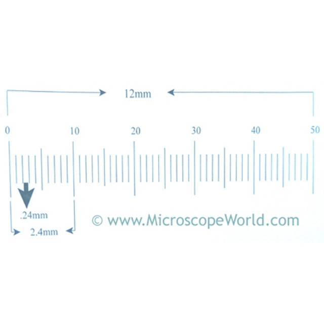 Reticle Ruler 12mm 50 Divisions