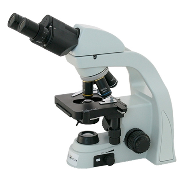 Basic Beer Brewing - Wine Microscope