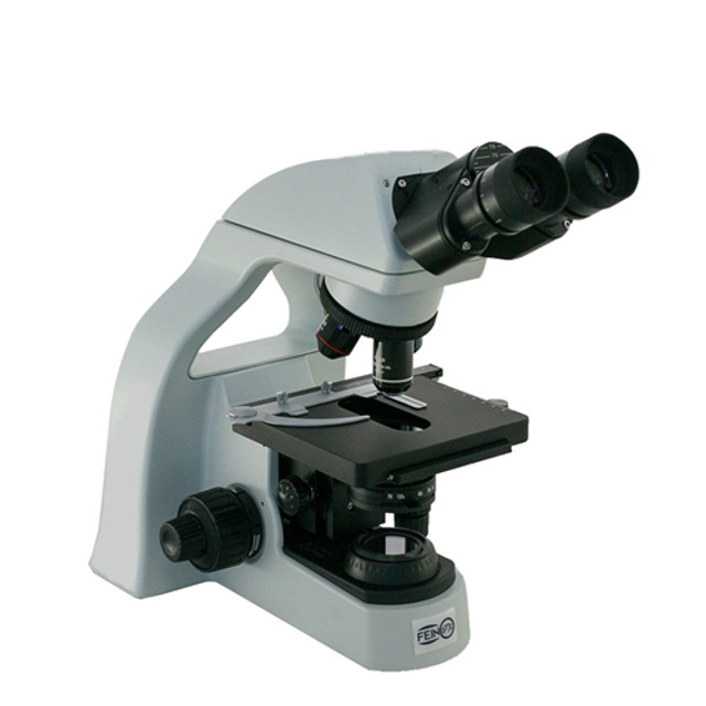 Basic Phase Contrast Beer Brewing - Wine Microscope