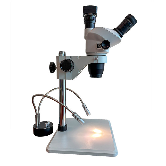 FZ8 Digital Stereo Zoom Microscope with Dual Pipe Lights