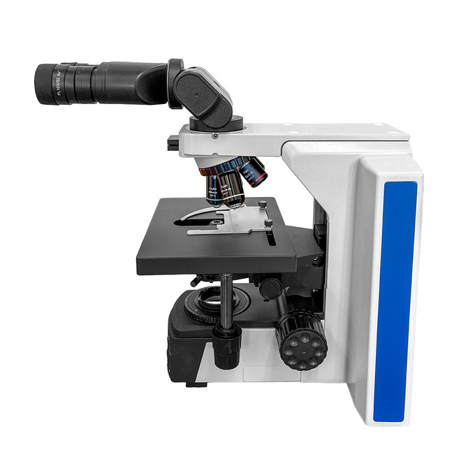 RB41 Ergonomic Binocular Pathology Lab Microscope