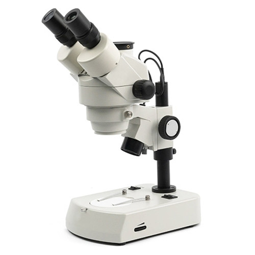 National Optical 440 Stereo Zoom Microscope on LED Stand