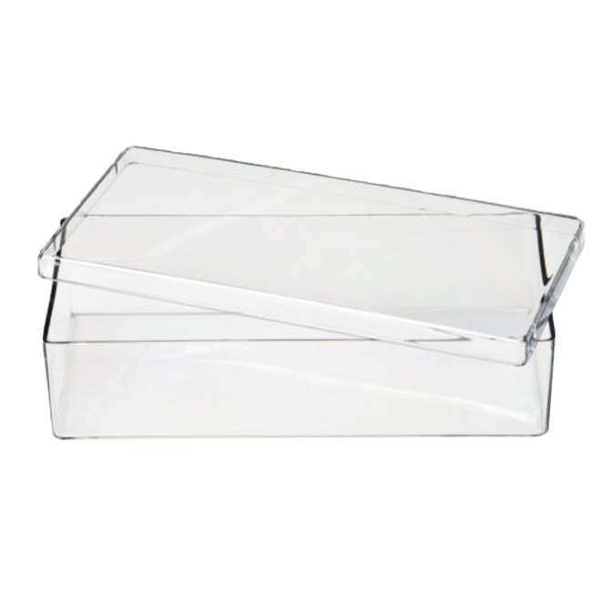 Rectangular Box 3.19" x 6.81" Friction Fitting Lid