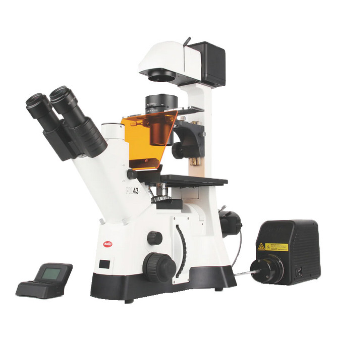 Motic PX43 FS6 Inverted Fluorescence Microscope
