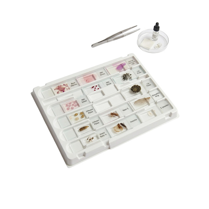 Microscope slide storage tray.