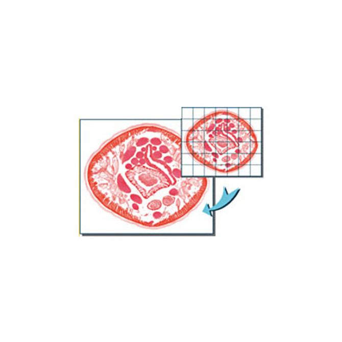 Motic Images Advanced 3.2 Version Microscope Software