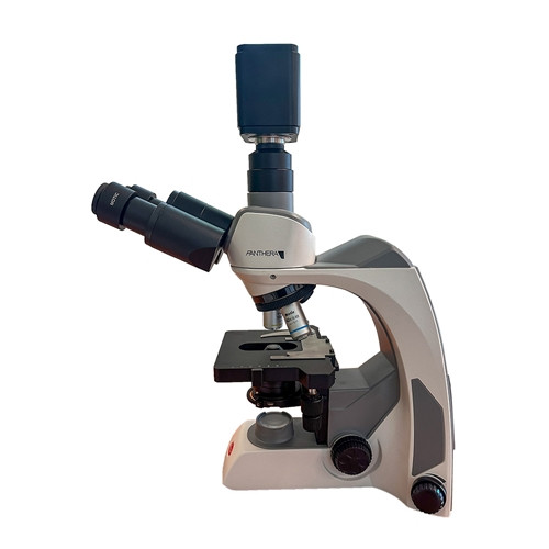 Motic Panthera E2 Digital Fixed Kohler Microscope