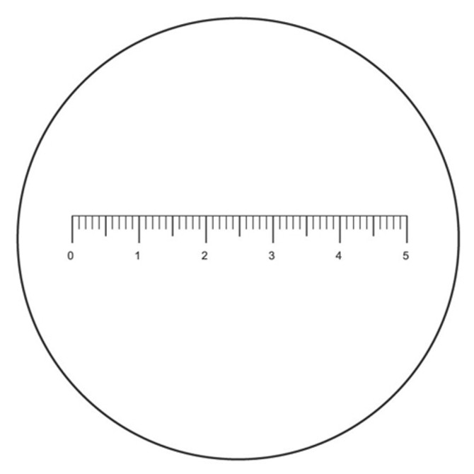 Eyepiece Micrometer - Line 25mm Diameter
