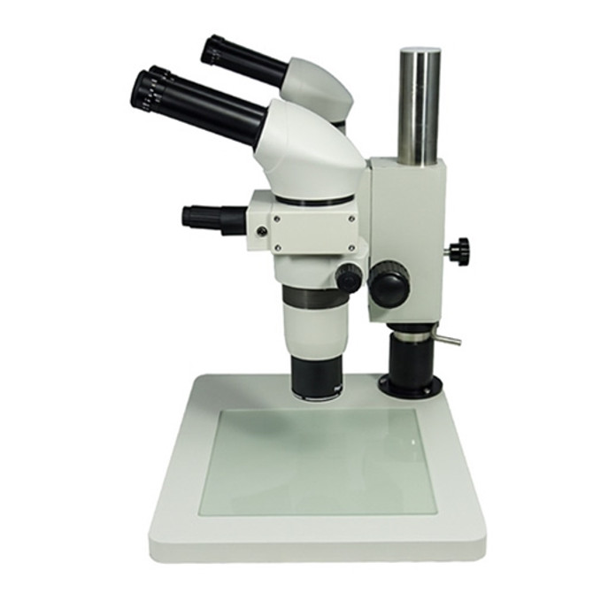 Dual Head Teaching Common Main Objective Stereo Microscope Plan Achro
